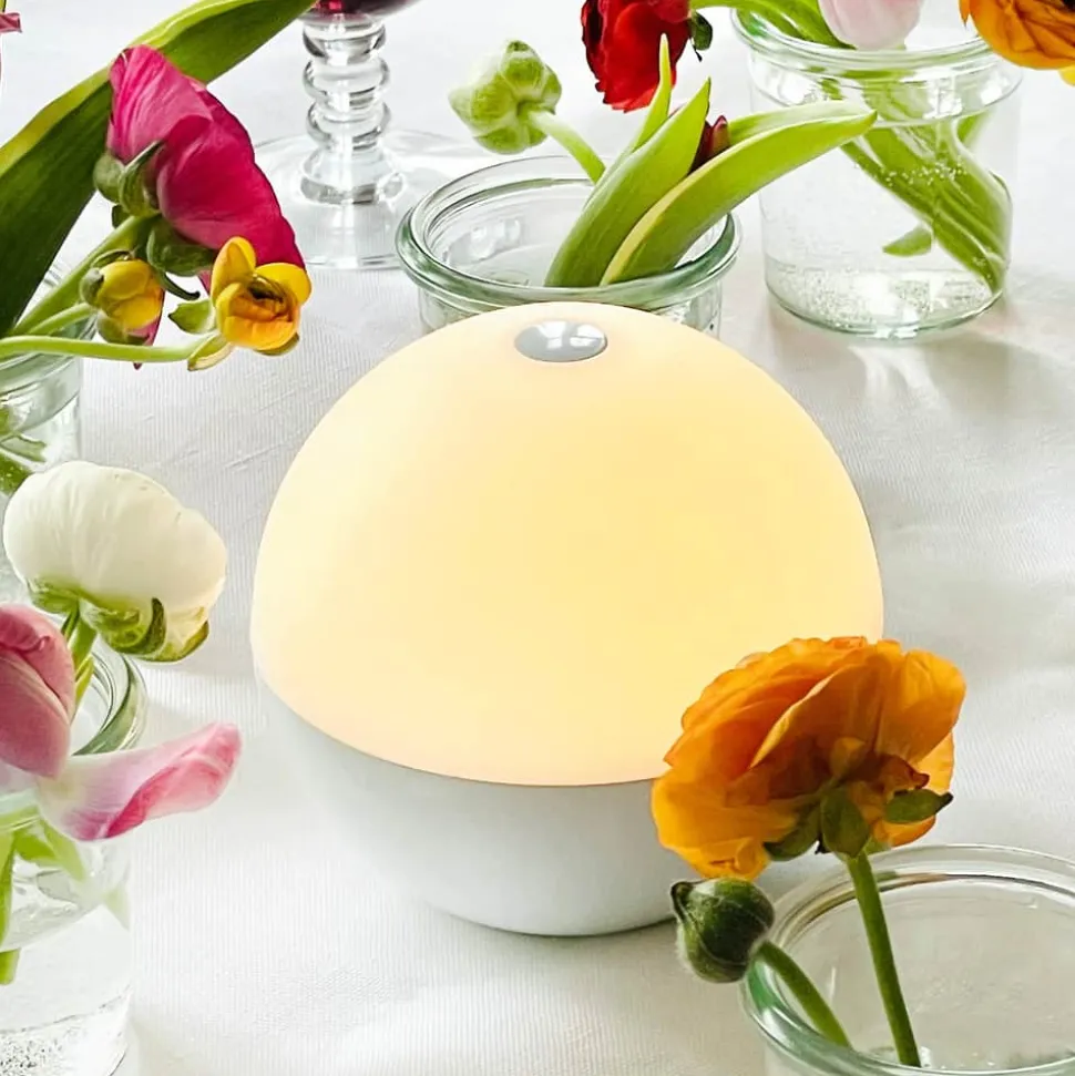 Alba LED Bordlampe
