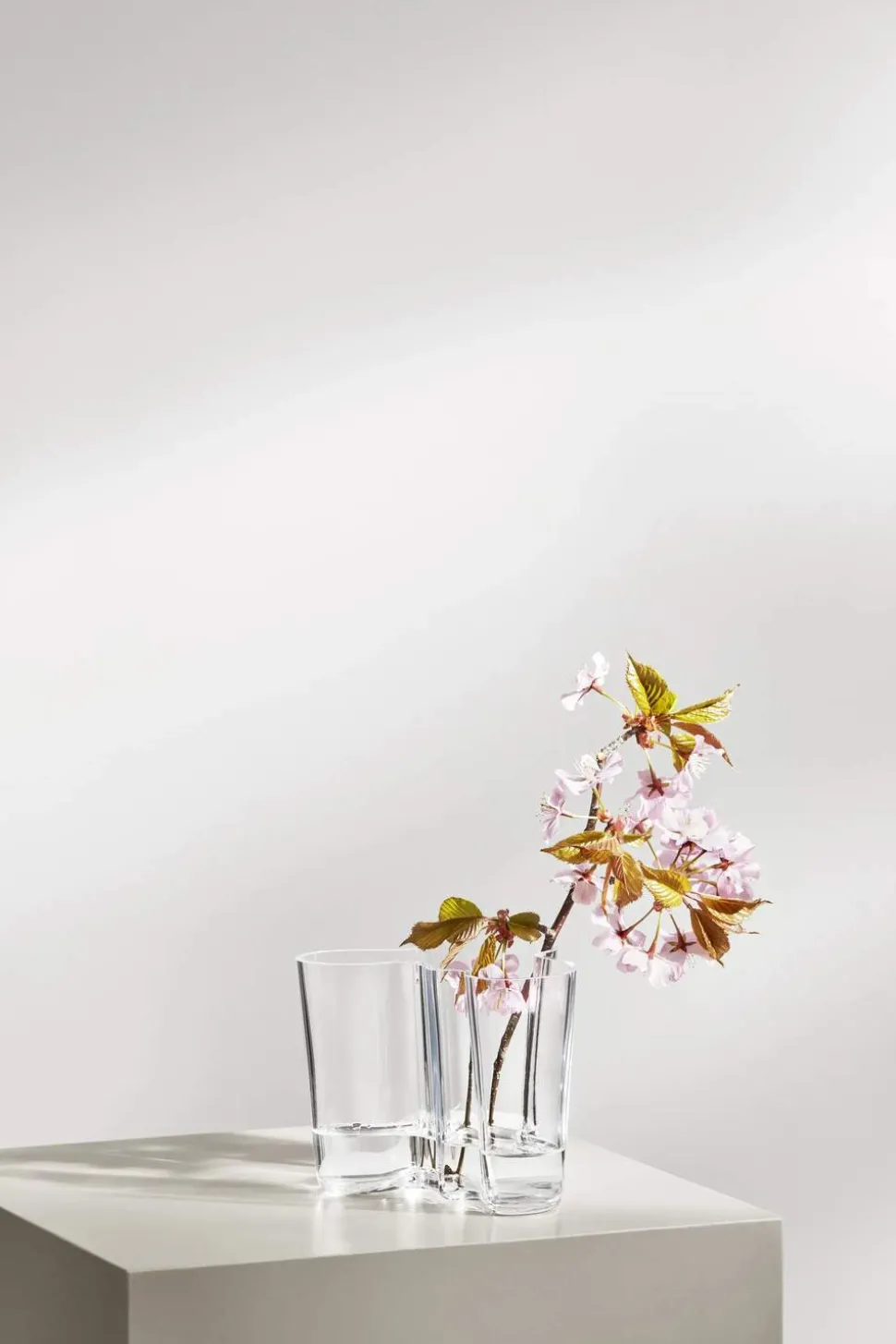 Alvar Aalto Vase