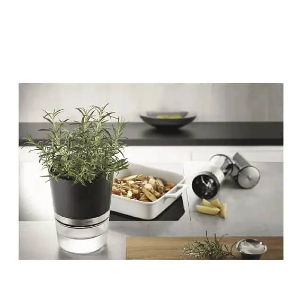 Botanico Krydderurtepotte