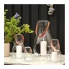 Design With Light Lanterne