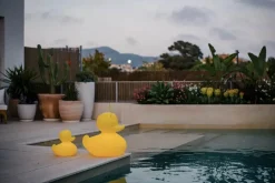 Duck-Duck Lampe - Lille