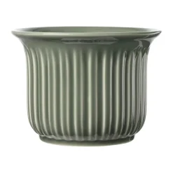 Eslau Tulip Potte