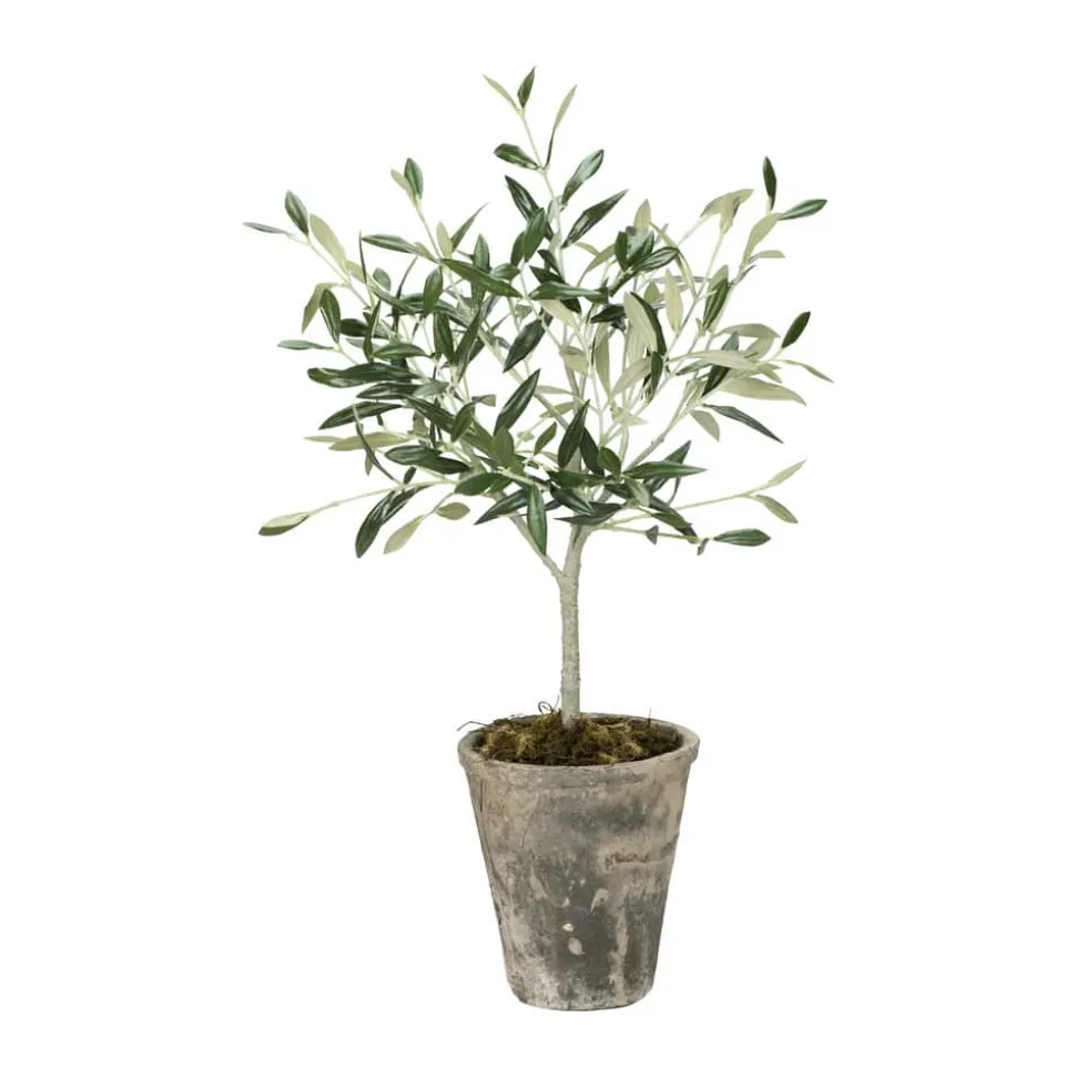 Flora Kunstig Oliventræ