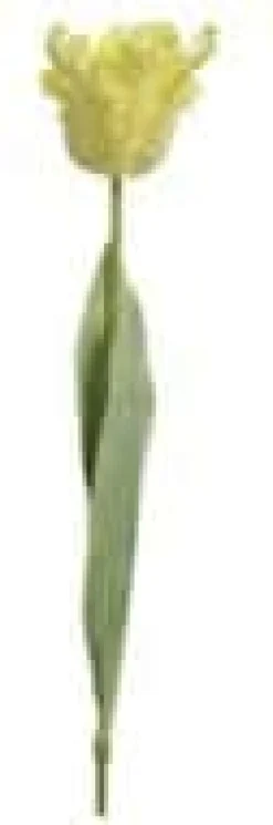 Kunstig Blomst - Papegøjetulipan