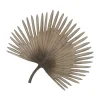 Palmeblad