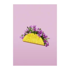 plakat - Flower taco