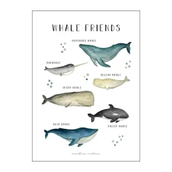 Plakat - Whale Friends