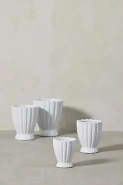 Shenella Urtepotteskjuler
